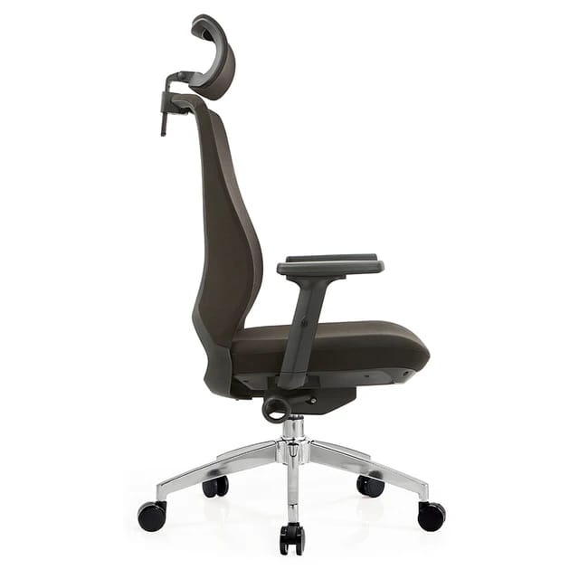 Lalo Ergonomic Office Chair BF-W18