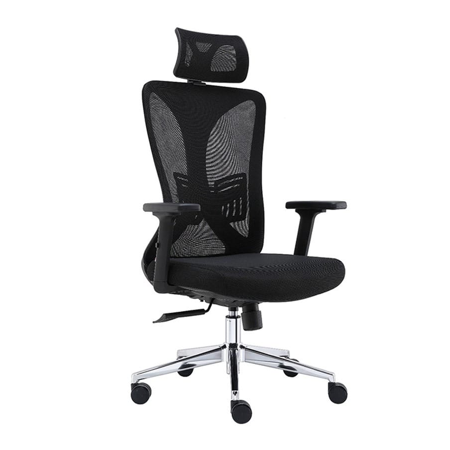 Executive Chair With Headrest And Lumbar Support BF-HLS