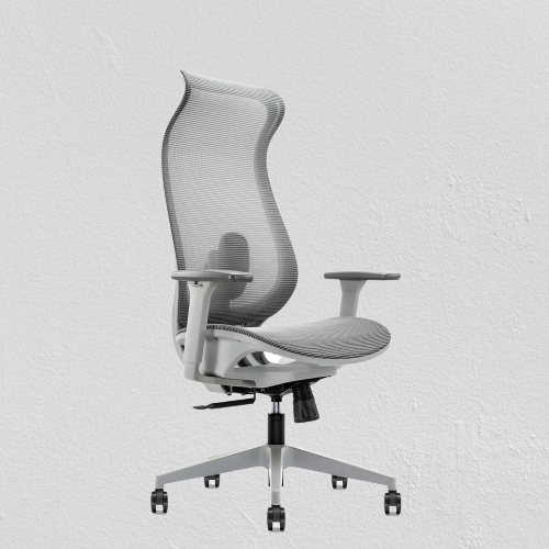 Ark Ergonomic Armrest Chair BF-W10