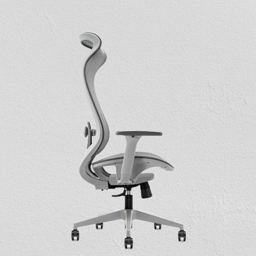 Ark Ergonomic Armrest Chair BF-W10