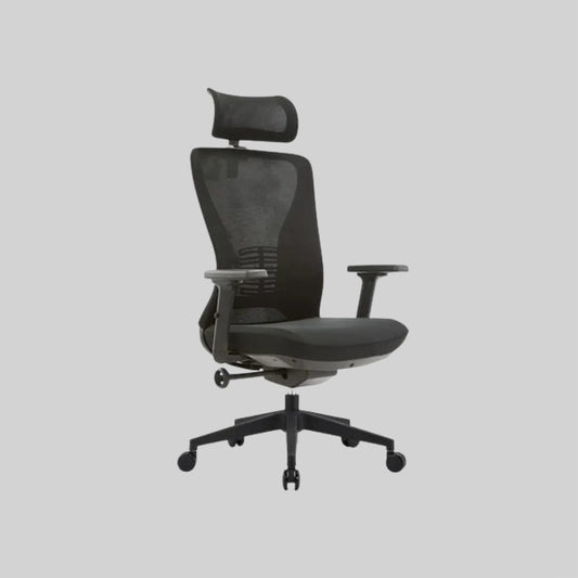 Lalo Ergonomic Office Chair BF-W18