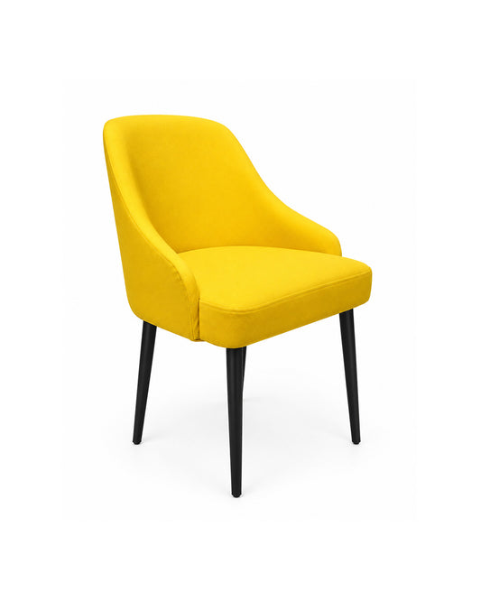Bilwani Fancy Interior Chair BF-FIC