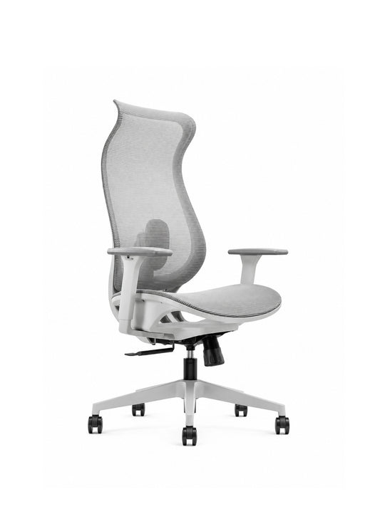 Ark Ergonomic Armrest Chair BF-W10