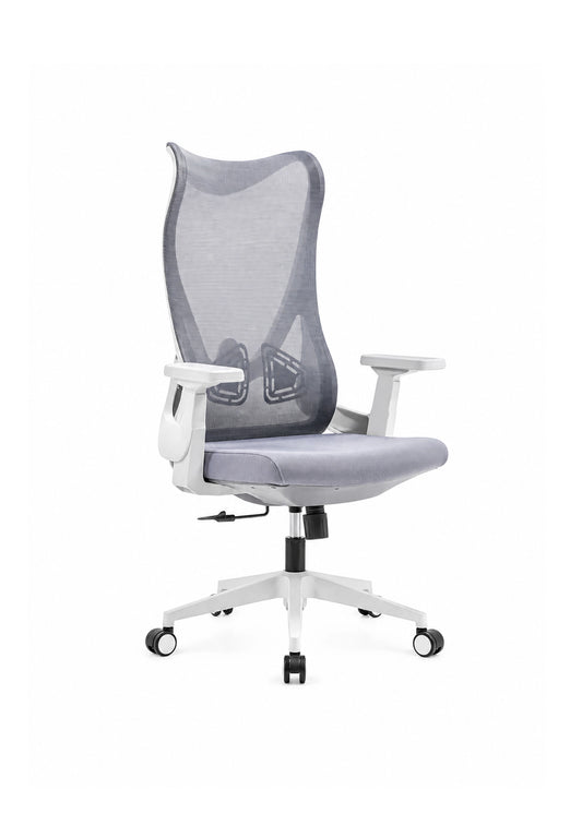 Office Ergonomic Adjustable Swivel Task Chair BF-W17