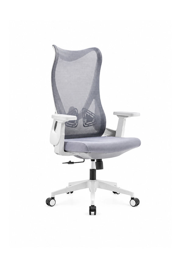 Office Ergonomic Adjustable Swivel Task Chair BF-W17