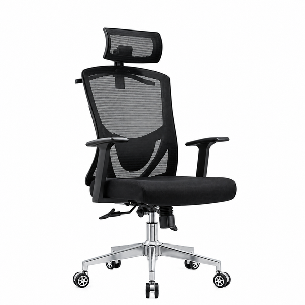 Bilwani Executive Office Chair With Footrest BF-EC100
