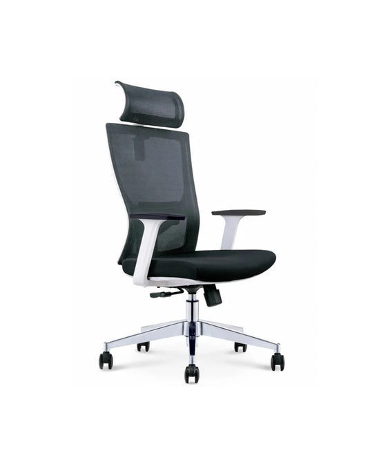 Ergonomic Revolving Adjustable Chair BF-W12