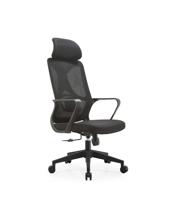 Ergonomic Chair with Lumbar Support BF-W14