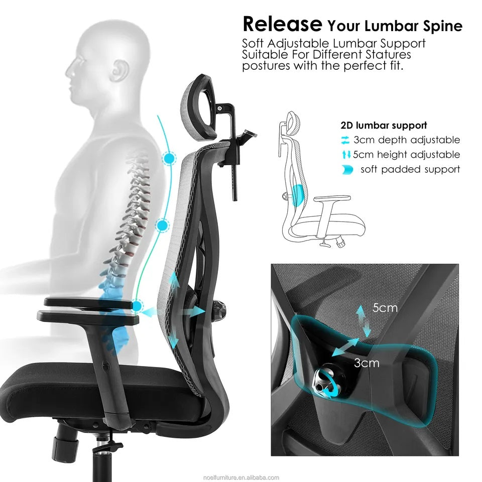 Office Chair with High Back/Lumbar Support