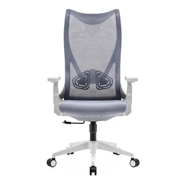 Office Ergonomic Adjustable Swivel Task Chair BF-W17