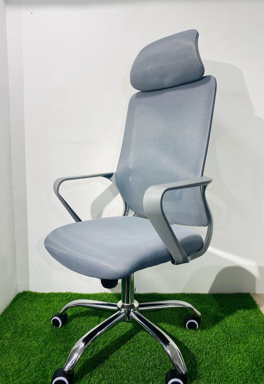 Ergonomic Revolving Chair BF-R105