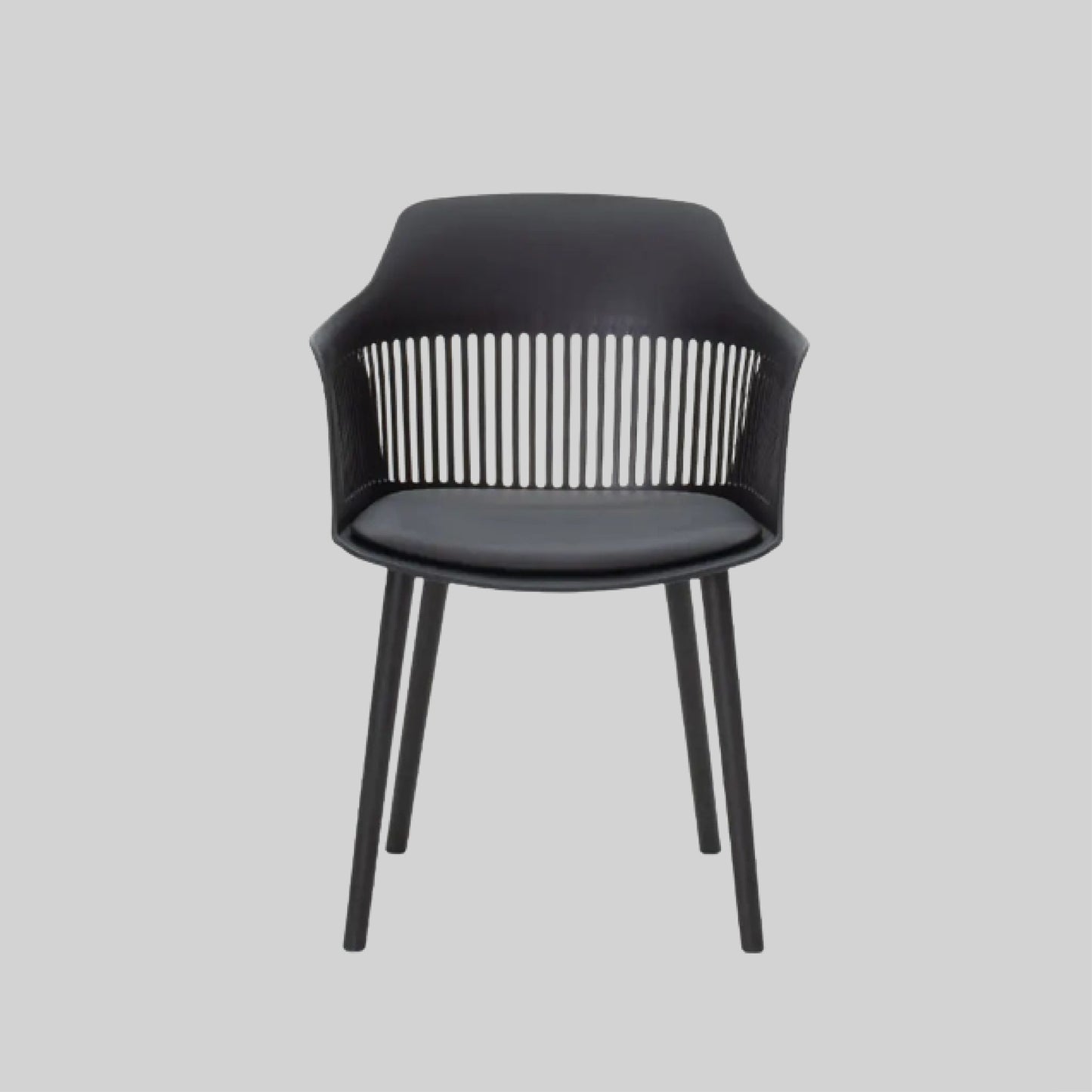 Irene Outdoor Modern Dining Chair