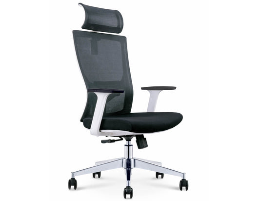 Ergonomic Revolving Adjustable Chair BF-W12